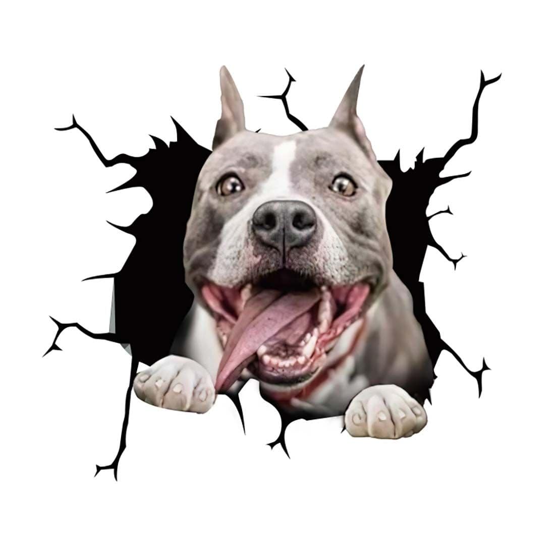 Stickers Chien Voiture 13 Tresor Otaku