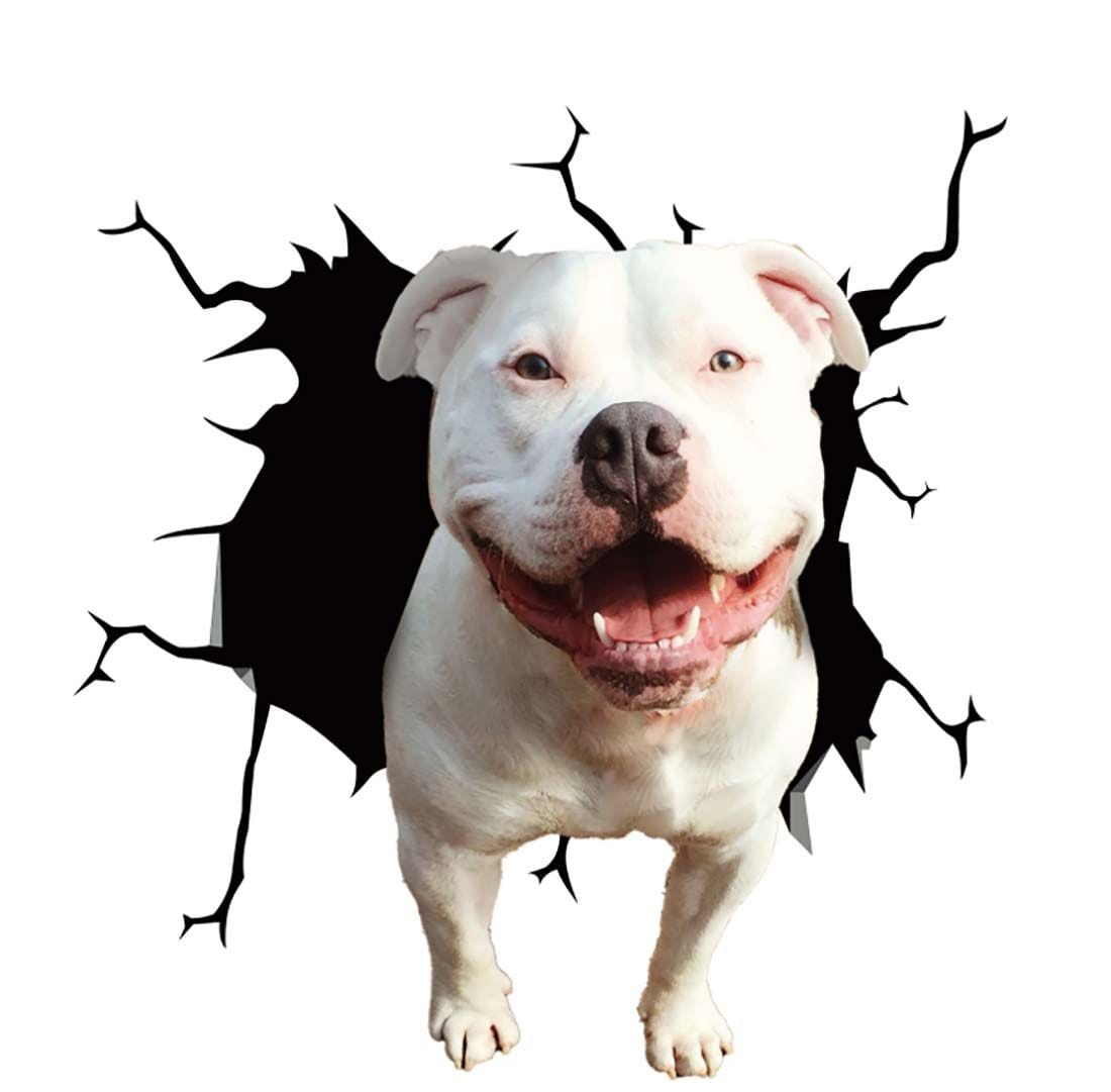 Stickers Chien Voiture 14 Tresor Otaku