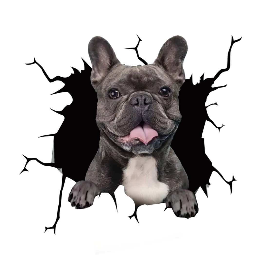 Stickers Chien Voiture 15 Tresor Otaku