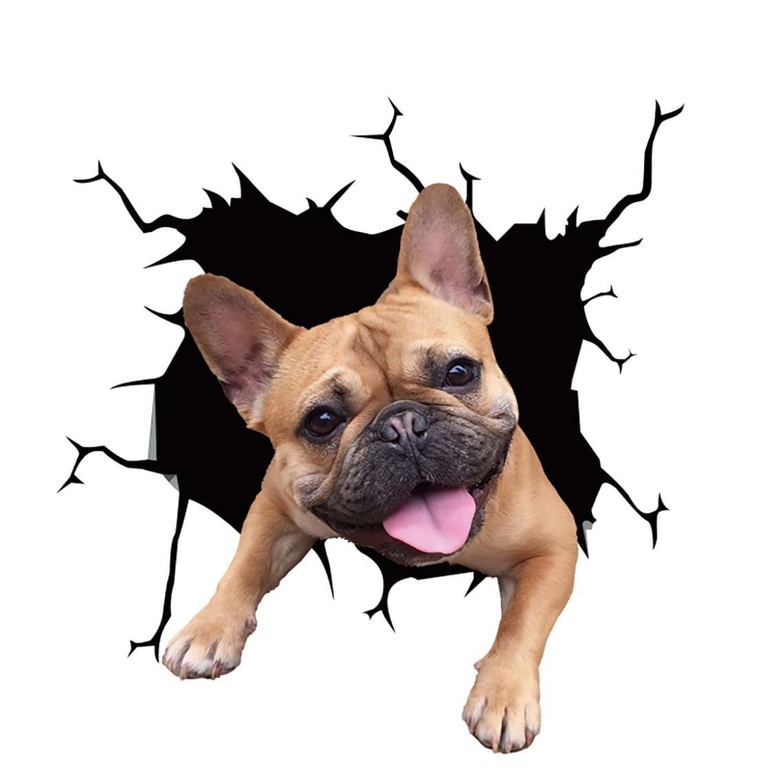 Stickers Chien Voiture 4 Tresor Otaku