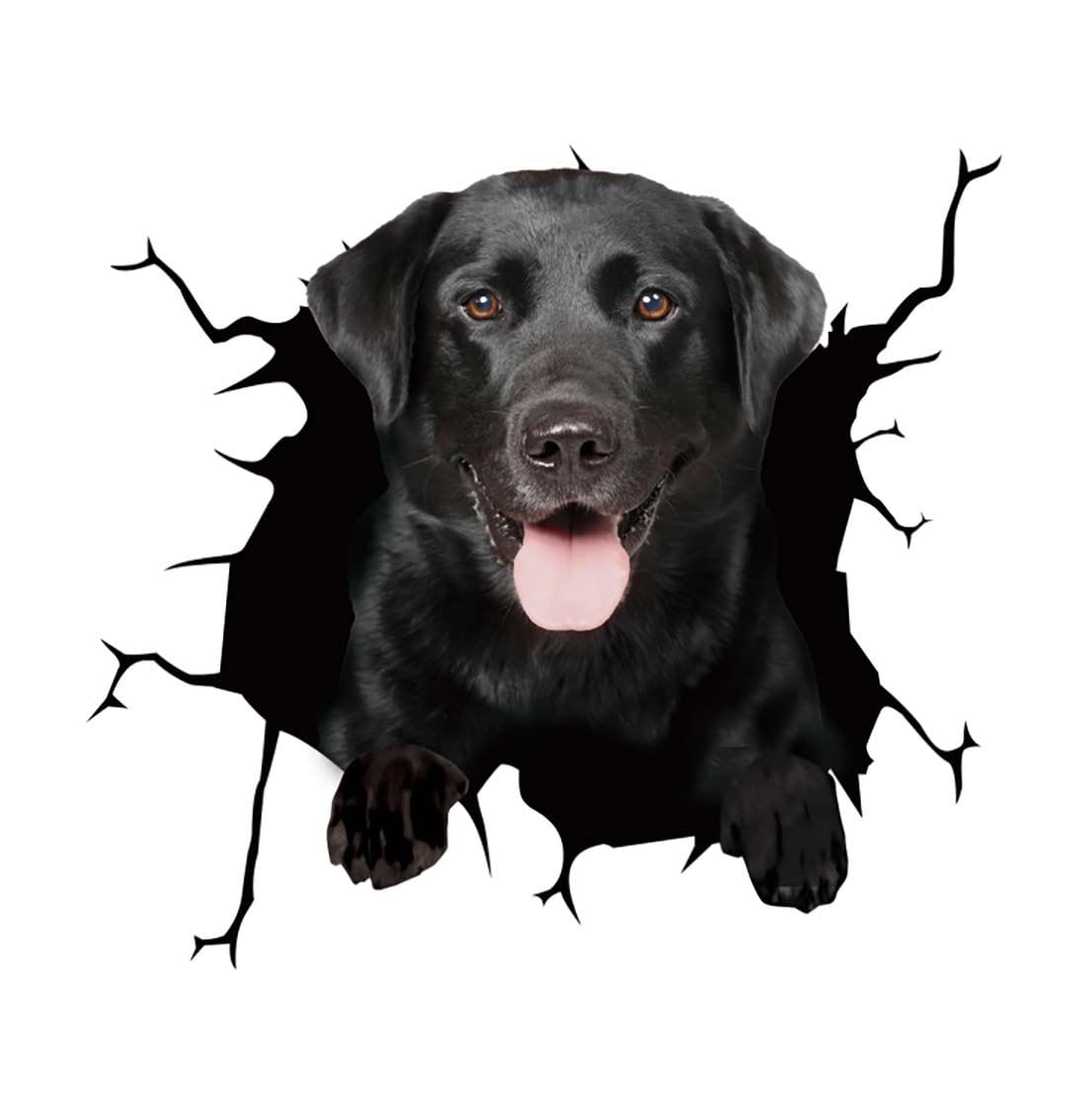 Stickers Chien Voiture 7 Tresor Otaku