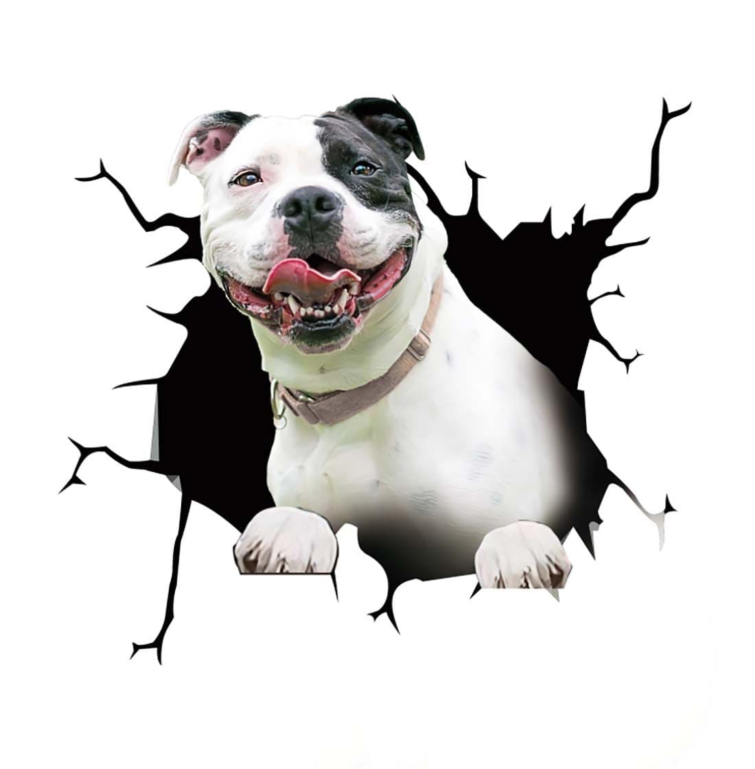Stickers Chien Voiture Tresor Otaku
